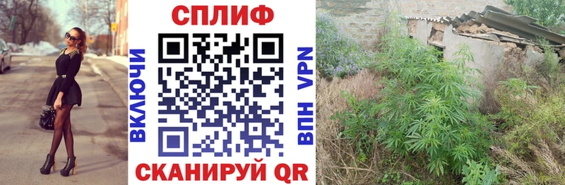 Шишки марихуана MAZAR  Югорск 